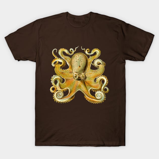 Giant Octopus by Ernst Haeckel T-Shirt by MasterpieceCafe